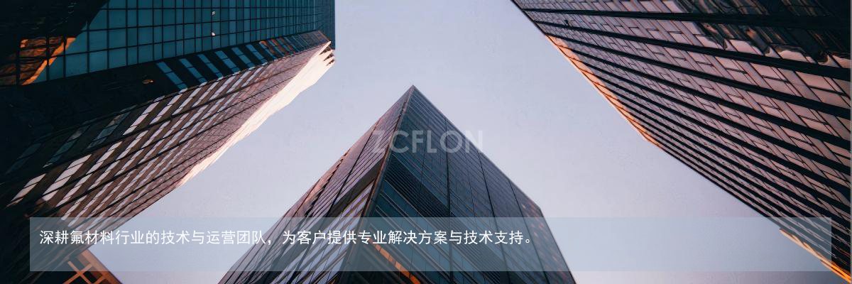 专业团队